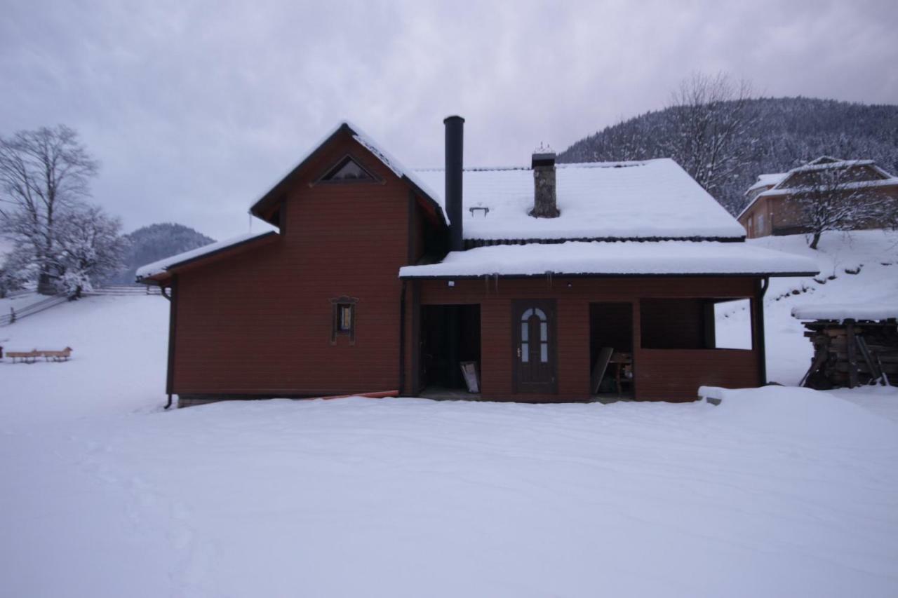Ozdoba Villa Verhovîna Exterior foto