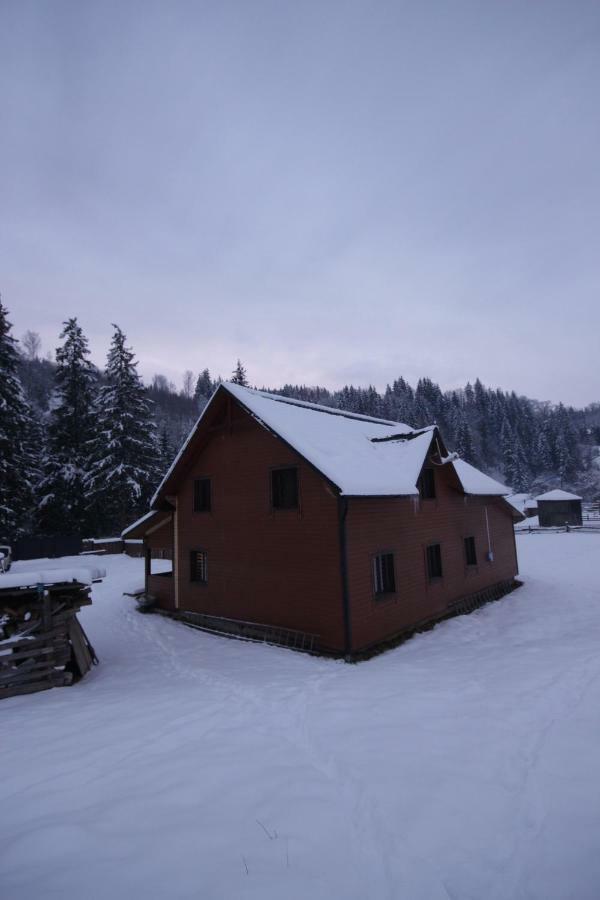 Ozdoba Villa Verhovîna Exterior foto