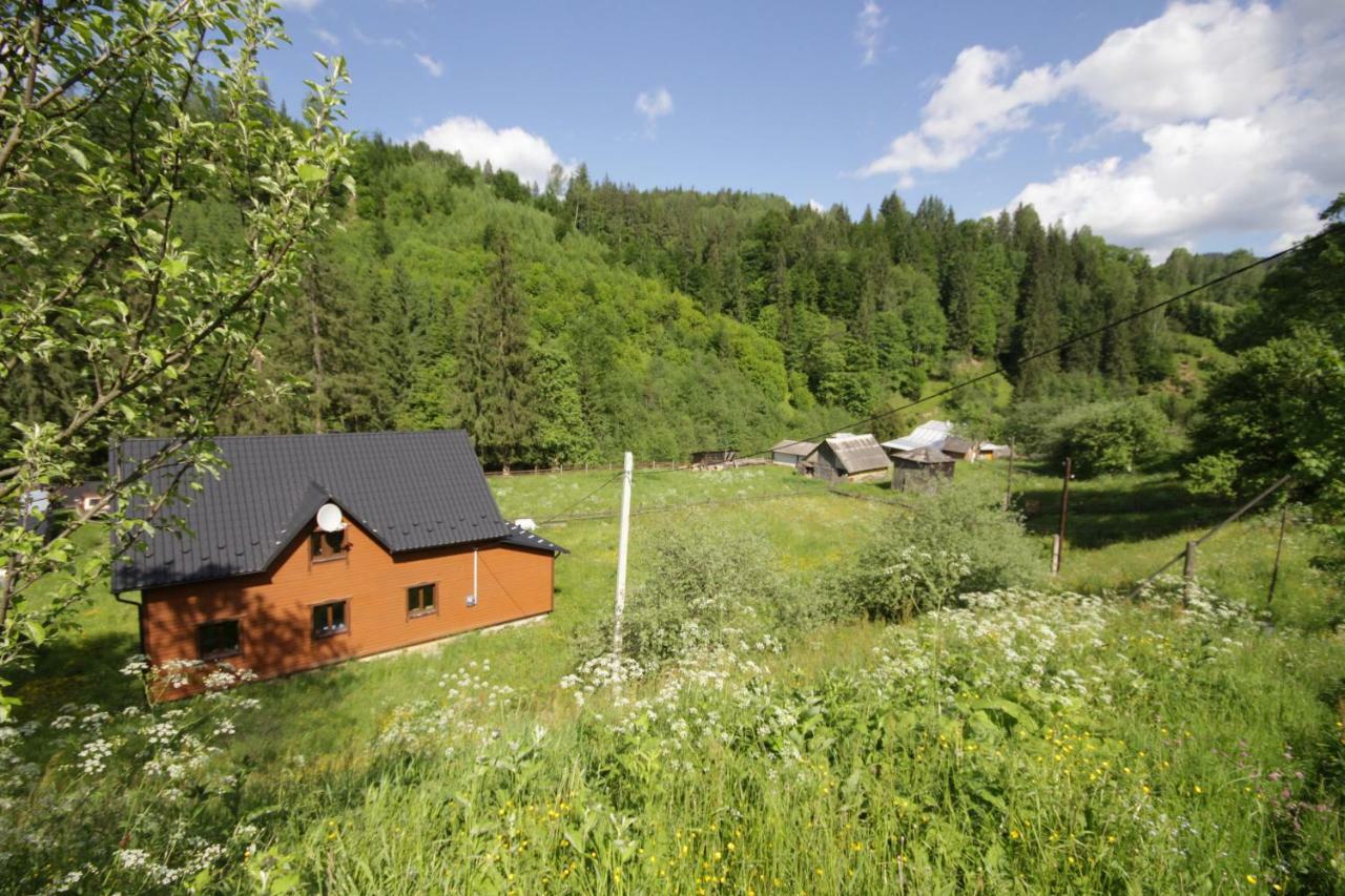 Ozdoba Villa Verhovîna Exterior foto