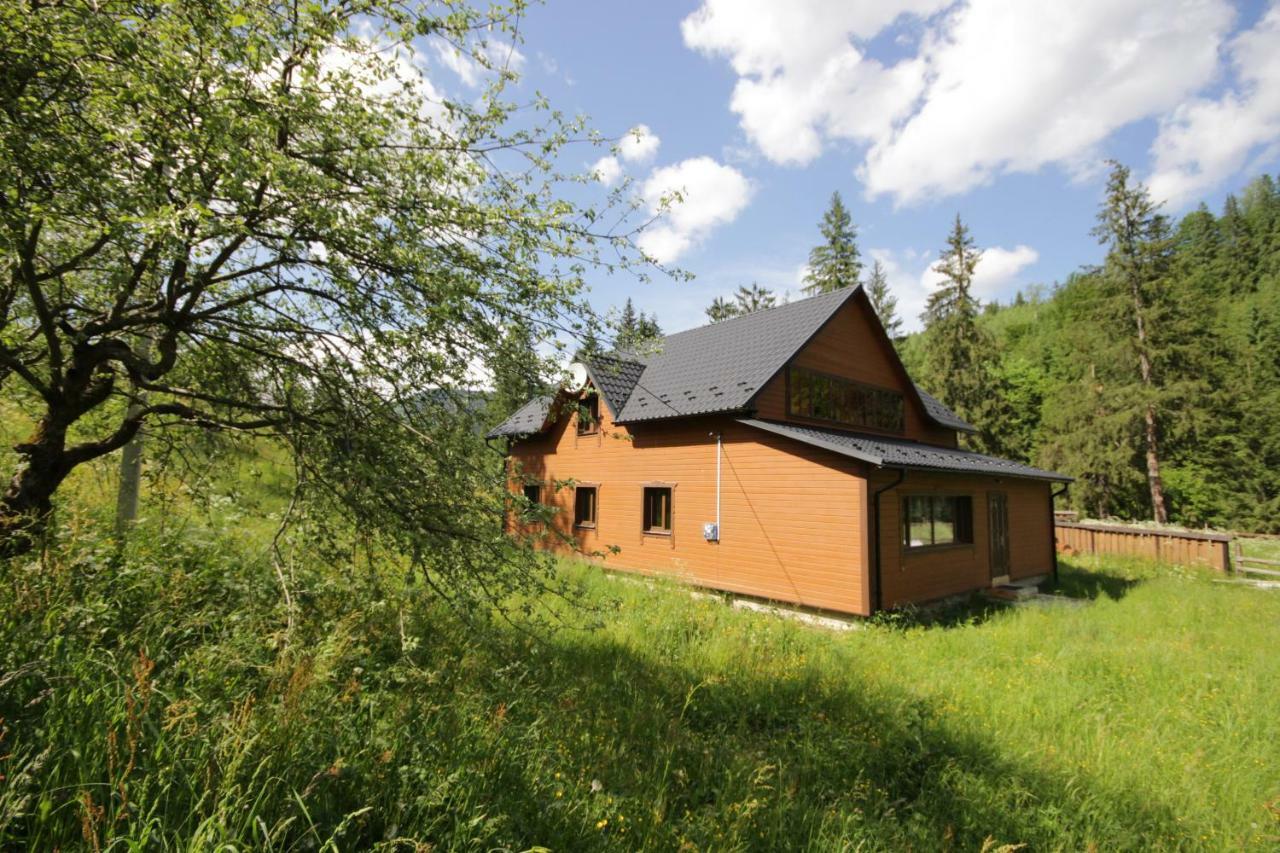 Ozdoba Villa Verhovîna Exterior foto
